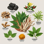 ShilaZen™ 8-en-1 | Shilajit, Ashwagandha, Rhodiola y Ginseng – Balance, Estrés y Rendimiento | 120 Cápsulas